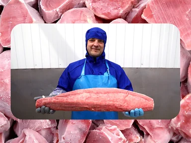 Как чистить креветки и&nbsp;при&nbsp;какой температуре хранить рыбу — рассказывает поставщик 