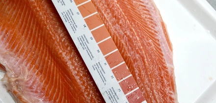 Как чистить креветки и&nbsp;при&nbsp;какой температуре хранить рыбу — рассказывает поставщик 