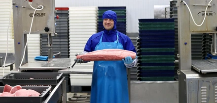 Как чистить креветки и&nbsp;при&nbsp;какой температуре хранить рыбу — рассказывает поставщик 