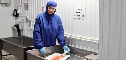 Как чистить креветки и&nbsp;при&nbsp;какой температуре хранить рыбу — рассказывает поставщик 