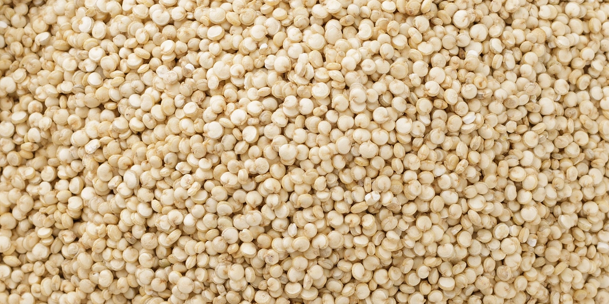 Варим кашу: как редакция с&nbsp;необычными крупами дружбу заводила