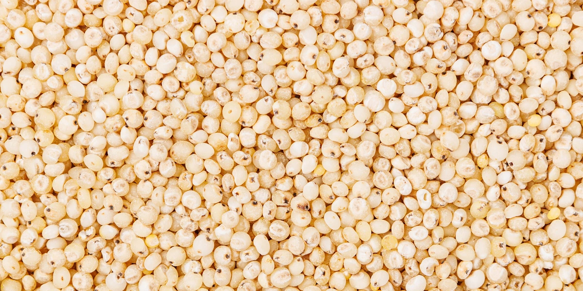 Варим кашу: как редакция с&nbsp;необычными крупами дружбу заводила