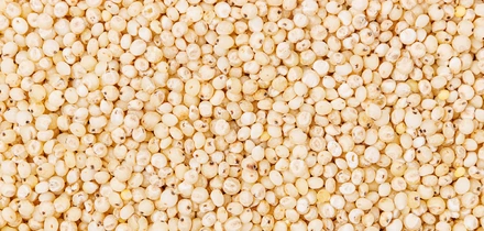 Варим кашу: как редакция с&nbsp;необычными крупами дружбу заводила