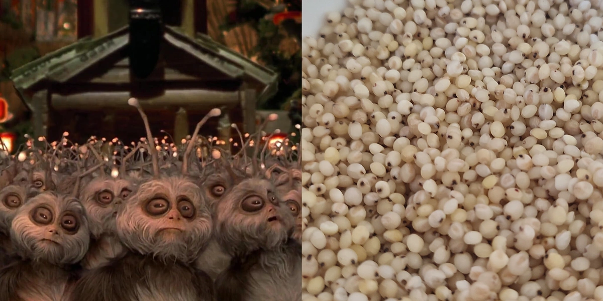 Варим кашу: как редакция с&nbsp;необычными крупами дружбу заводила