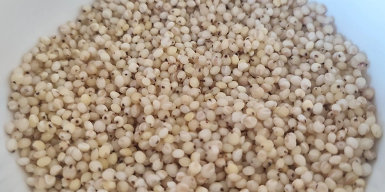 Варим кашу: как редакция с&nbsp;необычными крупами дружбу заводила