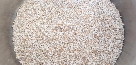 Варим кашу: как редакция с&nbsp;необычными крупами дружбу заводила