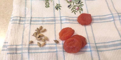 Варим кашу: как редакция с&nbsp;необычными крупами дружбу заводила