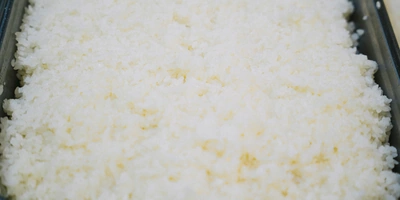 Онигири в&nbsp;новой упаковке: репортаж с&nbsp;кулинарной фабрики