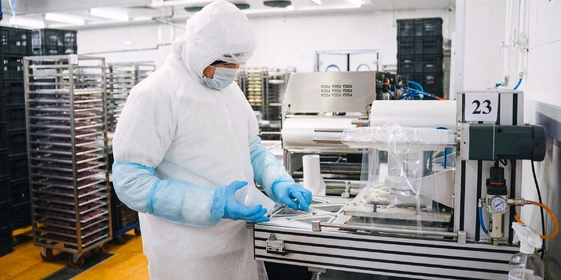 Онигири в&nbsp;новой упаковке: репортаж с&nbsp;кулинарной фабрики