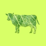 Чем заменить мясо вегану и&nbsp;вегетарианцу: продукты с&nbsp;высоким содержанием белка