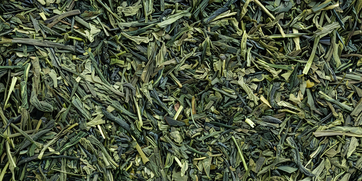 Чем полезен зелёный чай и&nbsp;можно ли его пить на&nbsp;ночь