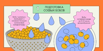 Из чего делают тофу: от&nbsp;древности до&nbsp;современного производства