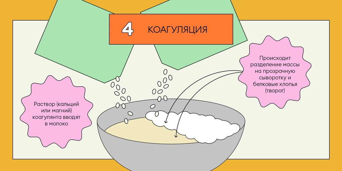 Из чего делают тофу: от&nbsp;древности до&nbsp;современного производства