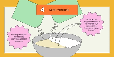 Из чего делают тофу: от&nbsp;древности до&nbsp;современного производства