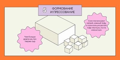 Из чего делают тофу: от&nbsp;древности до&nbsp;современного производства