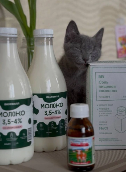 Варим сванский сыр: простой рецепт прямиком из&nbsp;Грузии