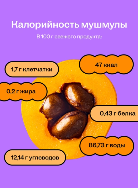 Что такое мушмула: как её есть, чем полезна и&nbsp;можно ли вырастить дома