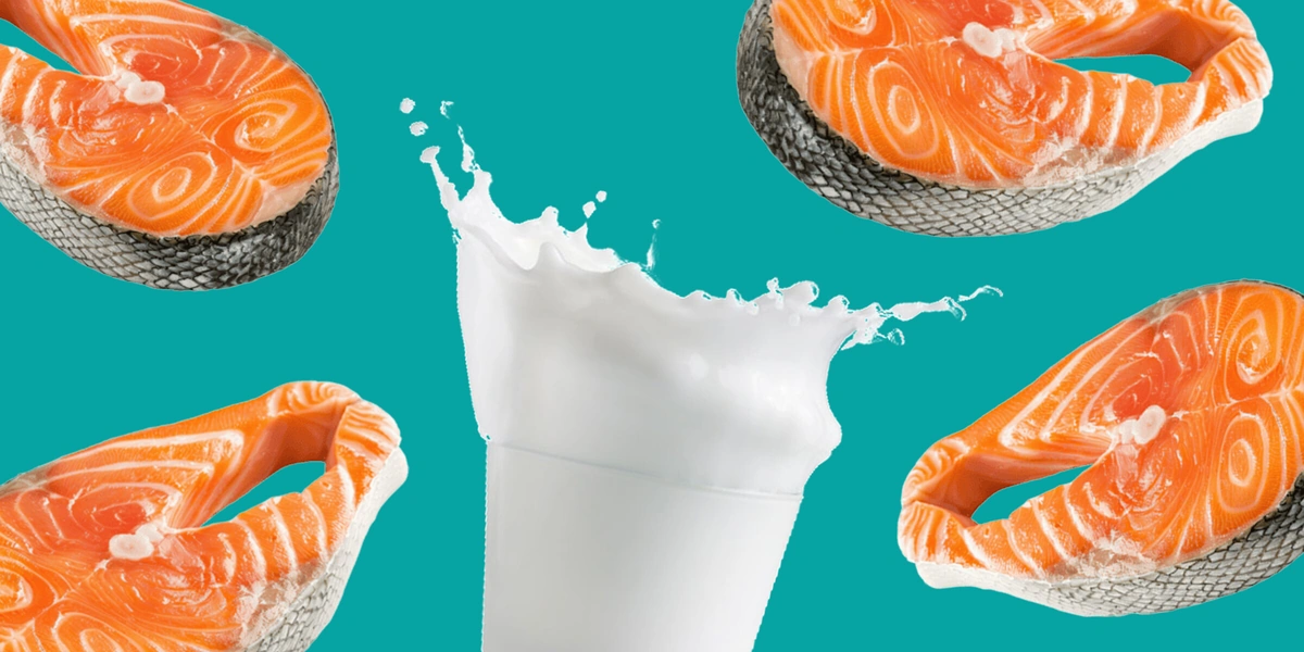 Раздельное питание: можно ли есть мясо с&nbsp;гарниром, сыр с&nbsp;хлебом и&nbsp;фрукты после&nbsp;обеда