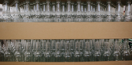 Рассол из&nbsp;ВкусВилла — новый пребиотик из&nbsp;индийского морского риса