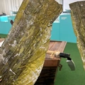 Поморские каникулы: как редактор в&nbsp;Архангельск поехала и&nbsp;поморской жонкой стала