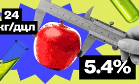 Сомнительный контроль здоровья: почему не всё, что можно измерить, нужно измерять
