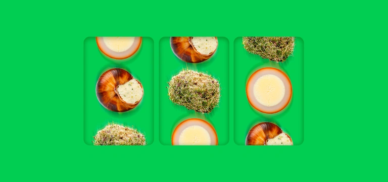 Генератор удивительного: что можно найти на&nbsp;полках ВкусВилла