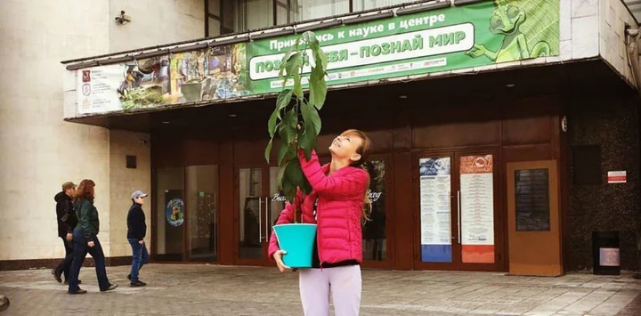 Приключения одного авокадо