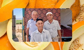 Дорога на&nbsp;Джизак: кто стоит за&nbsp;производством дынь для&nbsp;ВкусВилла