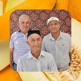 Дорога на&nbsp;Джизак: кто стоит за&nbsp;производством дынь для&nbsp;ВкусВилла