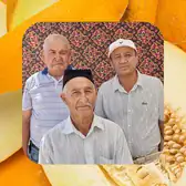 Дорога на&nbsp;Джизак: кто стоит за&nbsp;производством дынь для&nbsp;ВкусВилла