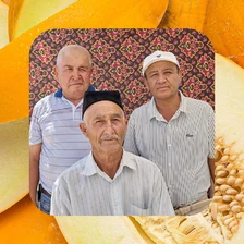 Дорога на&nbsp;Джизак: кто стоит за&nbsp;производством дынь для&nbsp;ВкусВилла