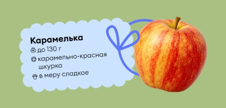 Гид по&nbsp;яблокам: какие купить и&nbsp;как есть, чтобы было вкусно