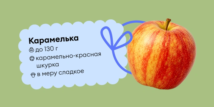 Гид по&nbsp;яблокам: какие купить и&nbsp;как есть, чтобы было вкусно