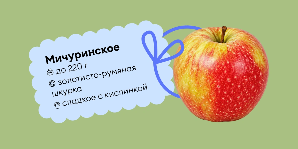 Гид по&nbsp;яблокам: какие купить и&nbsp;как есть, чтобы было вкусно