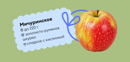 Гид по&nbsp;яблокам: какие купить и&nbsp;как есть, чтобы было вкусно
