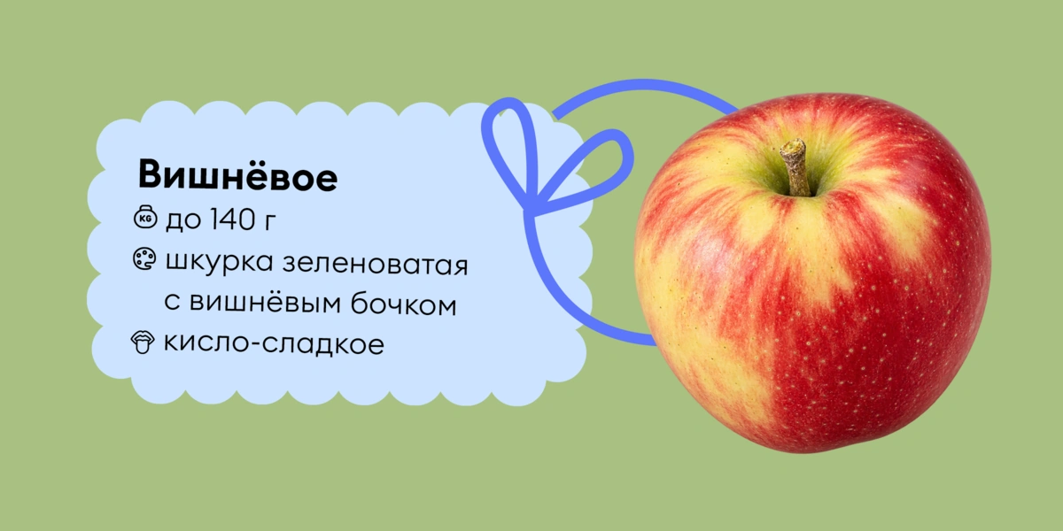 Гид по&nbsp;яблокам: какие купить и&nbsp;как есть, чтобы было вкусно
