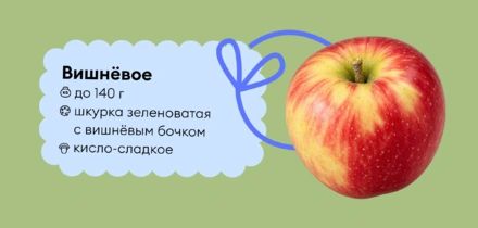 Гид по&nbsp;яблокам: какие купить и&nbsp;как есть, чтобы было вкусно