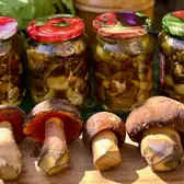 Маринованные дубовики