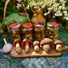 Маринованные дубовики