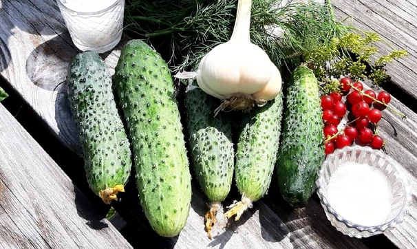 Малосольные огурцы с&nbsp;красной смородиной и&nbsp;медовой горчицей, шаг 1/4