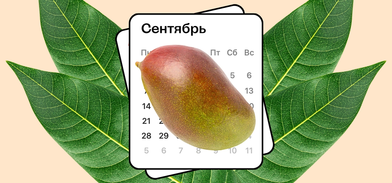 Колебания климата Земли изменили сезон манго