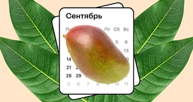 Колебания климата Земли изменили сезон манго
