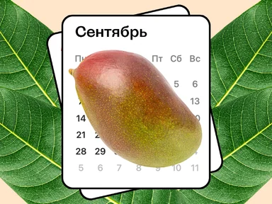 Колебания климата Земли изменили сезон манго
