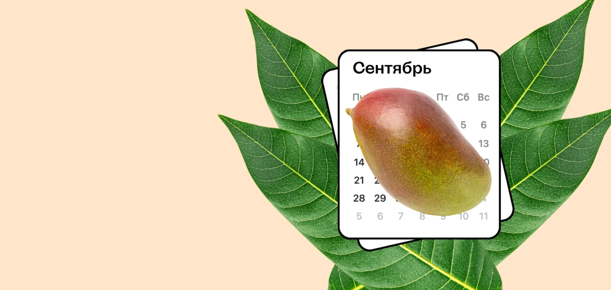 Время года: манго