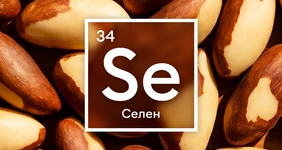 Селен: в&nbsp;каких продуктах он содержится и&nbsp;нужно ли принимать добавки