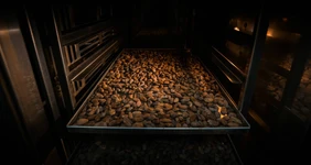 Пишет поставщик. Шоколад с характером