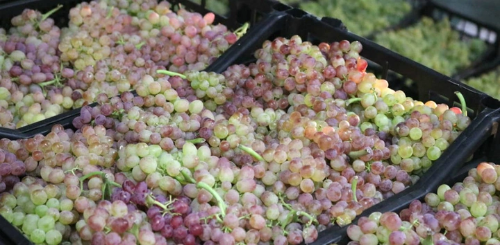 Что купить в&nbsp;сентябре? Виноград!