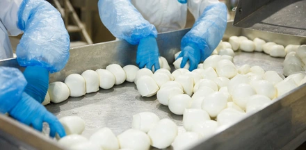 Для сырных гурманов: экскурсия на завод «Умалат»