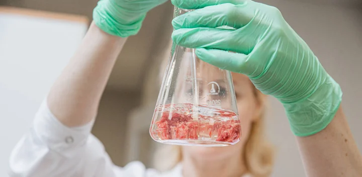 Блинчики с мясом: отвечает лаборатория ВкусВилл