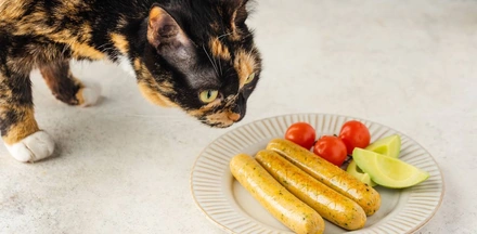 Хвостатое ПП: как правильно кормить питомцев. Говорят ветеринары и&nbsp;хозяева